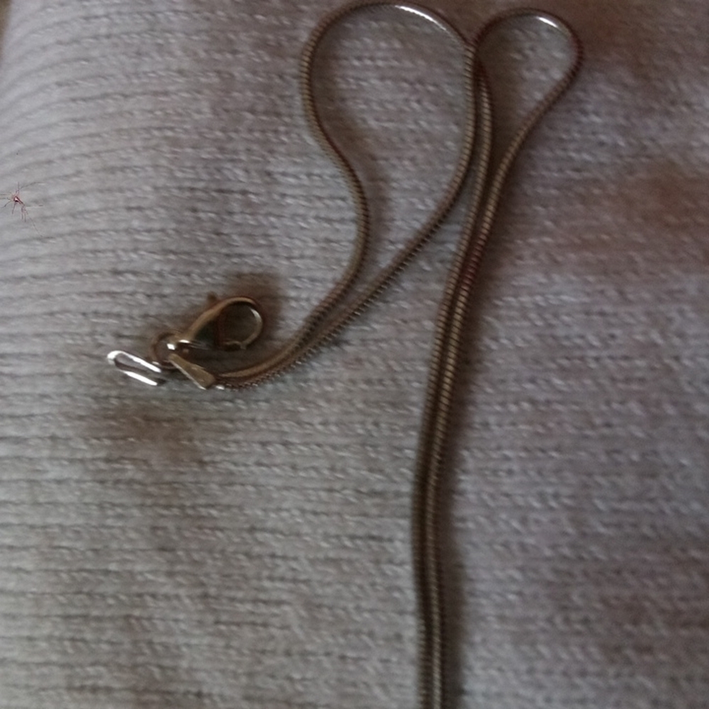 Pandora Charm Type Chain - image 2